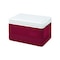 Igloo Igloo Legend Red 5 qt Cooler 43702 - alternate 1